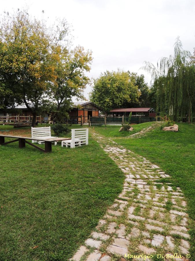 Mulino Delle Valli Cerea Dış mekan fotoğraf